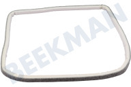 Tegran 481246668561 Wäschetrockner Filzband geeignet für u.a. TRK3780 Vorderseite geeignet für u.a. TRK3780