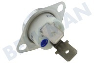 Alternative 5432530 Tumbler Thermostat-fix geeignet für u.a. T 491 160 Grad -bei Element- geeignet für u.a. T 491