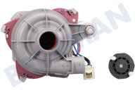 Elin 1740704500 Spülmaschine Pumpe geeignet für u.a. DFN2520S, DIN1530 Umwälzpumpe geeignet für u.a. DFN2520S, DIN1530