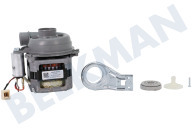 Elin 1740701700 Spülmaschine Pumpe geeignet für u.a. DFN1423, DSN2530X Umwälzpumpe geeignet für u.a. DFN1423, DSN2530X