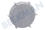 Amana 481246279903  Verschluss geeignet für u.a. ADP6610, GSFP1987, GSFK1588 von Salzbehälter geeignet für u.a. ADP6610, GSFP1987, GSFK1588