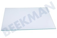 Zanker 2249121043  Glasplatte komplett geeignet für u.a. AGS58800S1, FRYSA30282343