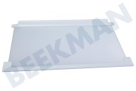 AEG 2251639205 Kühlschrank Glasplatte komplett geeignet für u.a. SDS51400S1, EJN2301AOW