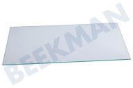 Zanker 2249121019  Glasplatte geeignet für u.a. AIK2403L, SCS51804S1, IK2915BR Gefrierschrank, unten geeignet für u.a. AIK2403L, SCS51804S1, IK2915BR