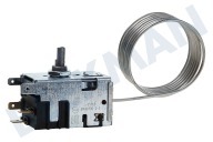 Thermostat geeignet für u.a. ZFC330WAA, EC2800AOW Danfoss 077B3395L