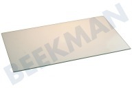 Glasplatte geeignet für u.a. KGI2900, 47,2x28,8cm