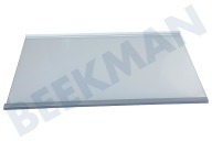 Polar 481010667591 Kühlschrank Glasplatte geeignet für u.a. KGSF20A2WS, BSNF8152S, KGNF18KA3IN Komplett mit Leisten geeignet für u.a. KGSF20A2WS, BSNF8152S, KGNF18KA3IN