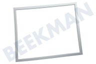 Zelmer 218786, 00218786  Dichtungsgummi geeignet für u.a. KIE28440, KI34SA50 625x515mm, Weiß, Gefrierschrank geeignet für u.a. KIE28440, KI34SA50