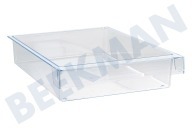 Balay 447513, 00447513 Kühlschrank Schale geeignet für u.a. KF24LA50, KIL38A41 (Fach) 300x210x60 transparent geeignet für u.a. KF24LA50, KIL38A41