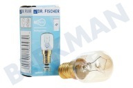 Novamatic 170218, 00170218  Lampe geeignet für u.a. KG35V420, KG33VV43 25W E14 Kühlschrank geeignet für u.a. KG35V420, KG33VV43