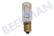 Pelgrim 607637  Lampe 10 Watt, E14