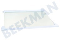 Hanseatic 4617920500  Glasplatte geeignet für u.a. CS240, DS250, RBI1400 für Kühlschrank geeignet für u.a. CS240, DS250, RBI1400
