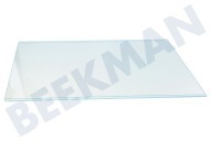 Bomann 4615300500  Glasplatte geeignet für u.a. CN228120, CS232020 Ablageplatte (ohne Leisten) geeignet für u.a. CN228120, CS232020