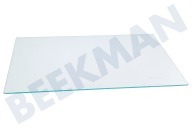 Sibir 4362729100  Glasplatte geeignet für u.a. FN130930, FNE290E20