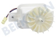 Beko 4362090300 Kühlschrank Ventilator geeignet für u.a. GNEV322PX, CNA32520, KWD9440X Oben, komplett geeignet für u.a. GNEV322PX, CNA32520, KWD9440X
