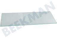 Alaska 115502  Glasplatte geeignet für u.a. HZS276608, HS296603 52,5 x 20,4 cm geeignet für u.a. HZS276608, HS296603