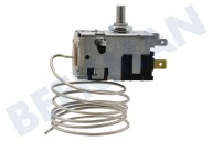 De dietrich 540263  Thermostat geeignet für u.a. R6295W, RI4224W 3 Kontakte Kapillare 95cm geeignet für u.a. R6295W, RI4224W