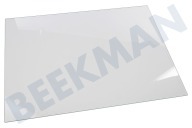 Liebherr Kühlschrank 7271460 Glasplatte geeignet für u.a. GN185320, GN191320