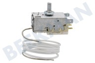 Alternative 6151086 Kühlschrank Thermostat geeignet für u.a. K59-H1300/L1287 *** + Aut. Abt.-19 -7 +5 geeignet für u.a. K59-H1300/L1287
