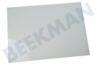 Amana 481245088095  Glasplatte geeignet für u.a. KSDN5061, S20ERWW2, KSN5051 395x280mm. geeignet für u.a. KSDN5061, S20ERWW2, KSN5051