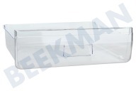Gefrier-Schublade geeignet für u.a. GKI9001A Transparent 410x345x130mm