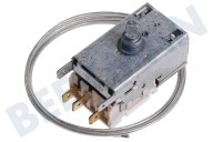 Thermostat geeignet für u.a. ARG585, ARG582, ARG993 K59 L2020
