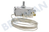 Thermostat geeignet für u.a. ARC5712, ARC5453, ARC5875 K59 L2139