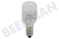 Ariston C00563962 Kühlschrank Lampe geeignet für u.a. ARGR715S, KG301WS, WBM3116W