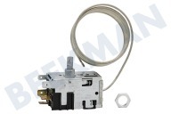 Etna 36404  Thermostat geeignet für u.a. KK2200AP, EEK151, AK2102 4 Kont. L-Cap = 125cm geeignet für u.a. KK2200AP, EEK151, AK2102