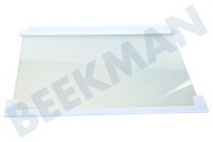 Teka 2251531063 Glasplatte geeignet für u.a. ZI9225A, ZI2404, ERO2286, ZI9218FFA 475x310mm  Glasplatte inkl. Schutzränder geeignet für u.a. ZI9225A, ZI2404, ERO2286, ZI9218FFA
