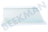 Novamatic 2251374530 Glasplatte geeignet für u.a. ZI9225A, ZI2404, ERO2286, ZI9218FFA 475x310mm, Kühlschrank Glasplatte Inkl. Schutzränder geeignet für u.a. ZI9225A, ZI2404, ERO2286, ZI9218FFA