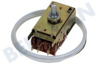 Castor 2262154038 Kühlschrank Thermostat geeignet für u.a. Side by Side K59-L 1035, Kappilarlänge 100cm geeignet für u.a. Side by Side