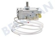 Castor 2262136027  Thermostat geeignet für u.a. 3 Kontakte K 59-L 1234 geeignet für u.a. 3 Kontakte