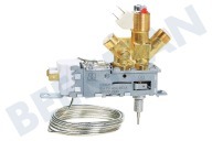 Dometic 241219020 Kühlschrank Steuerblock Gas/Elektro geeignet für u.a. RGE2100, RGE4000
