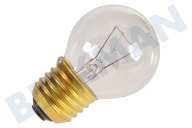 Unknown 50279916006  Glühlampe geeignet für u.a. Ofen BOL 300C 230V 40W E27 geeignet für u.a. Ofen BOL 300C
