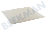 Ikea RF502M  Hohlleiterabdeckung/Glimmerscheibe geeignet für u.a. (Kombi-)Mikrowellen 30 x 30 cm geeignet für u.a. (Kombi-)Mikrowellen