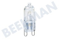 Husqvarna 8085641010  Lampe geeignet für u.a. BP1530400X, BP7304001M, ZCE540H1WA G9, 25 Watt geeignet für u.a. BP1530400X, BP7304001M, ZCE540H1WA