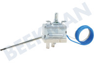 12041790 Thermostat geeignet für u.a. HB23AT510, HBA24B150, HBG23B520 Stift-Fühler