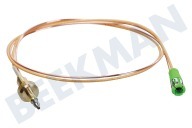 Brastemp C00546476  Thermoelement geeignet für u.a. AKR365WH 520 mm, 2 Drähte geeignet für u.a. AKR365WH