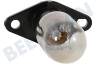 Etna 27974  Lampe geeignet für u.a. Mikrowellenofen 25W Haken mit Befestigungsplatte geeignet für u.a. Mikrowellenofen