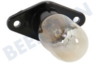 Amana 481913428051  Lampe geeignet für u.a. Mikrowellenofen 25W -mit Befestigunsplatte- geeignet für u.a. Mikrowellenofen