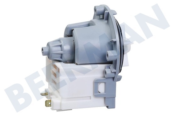 Arthur martin elux Waschmaschine Pumpe Magnet -Askoll-