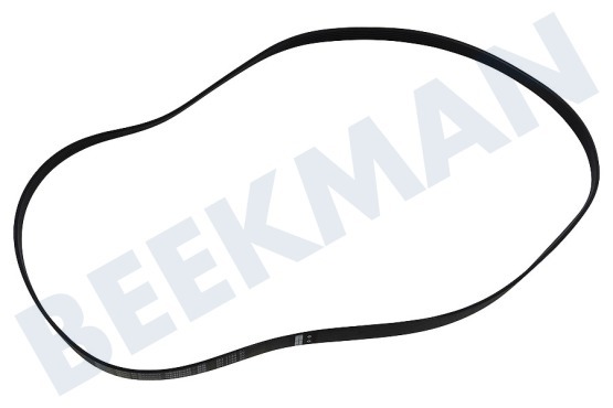 Arthur martin Trockner Keilrippenriemen 1184 PJE J6