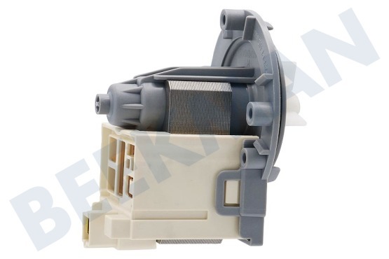 Vestel Waschmaschine Pumpe Ablaufpumpe Askoll