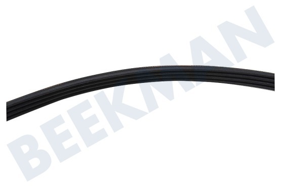 Whirlpool Trockner Keilrippenriemen geeignet für Whirlpool 4PJE 1236 TEM
