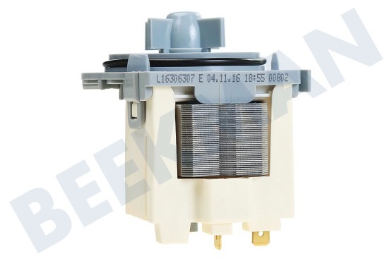 Rosenlew Waschmaschine Pumpe Ablaufpumpe, Magnetpumpe