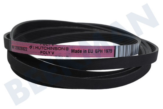 Universell Trockner 1258288222 Poly-V-Riemen 1975H7