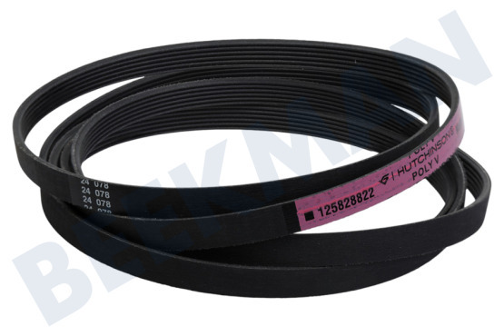 Universell Trockner 1258288222 Poly-V-Riemen 1975H7