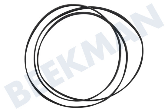 Universell Trockner 1258288222 Poly-V-Riemen 1975H7