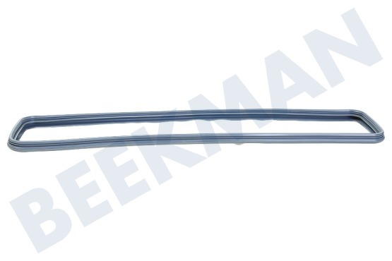 Electrolux Trockner Dichtungsgummi des Flusensiebs